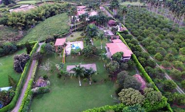 Finca Venta Vía Cerritos Pereira La Virginia