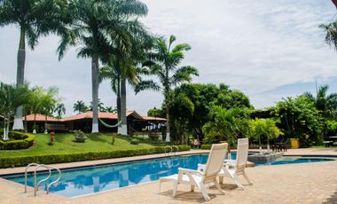 Finca Venta Vía Cerritos Pereira La Virginia