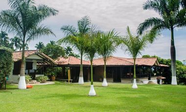 Finca Venta Vía Cerritos Pereira La Virginia