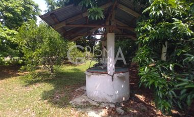 PRECIOSA FINCA EN VENTA A 10 MIN DE TUXPAN