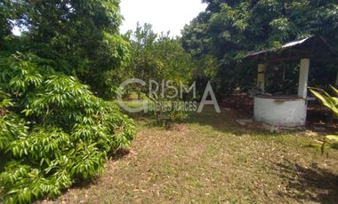 PRECIOSA FINCA EN VENTA A 10 MIN DE TUXPAN