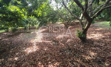 PRECIOSA FINCA EN VENTA A 10 MIN DE TUXPAN