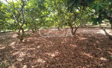 PRECIOSA FINCA EN VENTA A 10 MIN DE TUXPAN