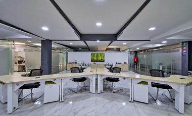 OFICINA NOVO Emerald 141
