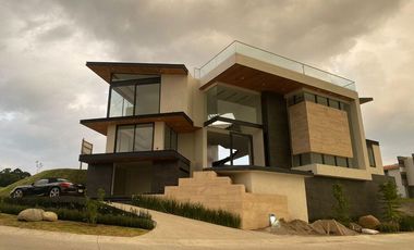 Mandarina Rancho San Juan