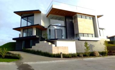 Mandarina Rancho San Juan