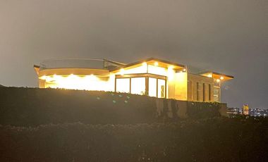 Mandarina Rancho San Juan