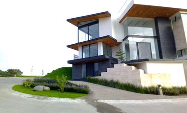 Mandarina Rancho San Juan