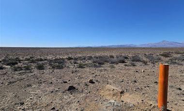 Sitio en Venta en Estancia Délano / Cruce a Carrizal Bajo / a 10 minutos de Vallenar