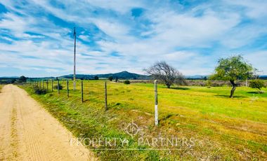 Marchigue, Gran terreno en Peñablanca