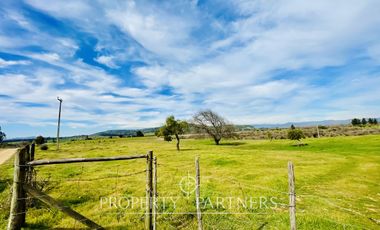 Marchigue, Gran terreno en Peñablanca