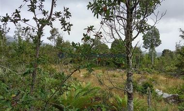 Parcela en Venta en HERMOSAS PARCELAS EN UN ENTORNO MARAVILLOSO A SOLO 30 KMS. DE PUERTO VARAS