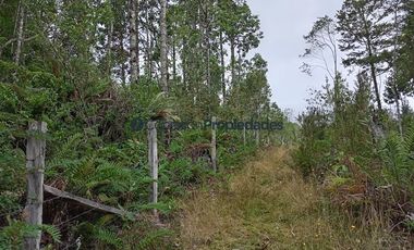 Parcela en Venta en HERMOSAS PARCELAS EN UN ENTORNO MARAVILLOSO A SOLO 30 KMS. DE PUERTO VARAS