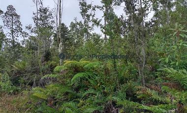 Parcela en Venta en HERMOSAS PARCELAS EN UN ENTORNO MARAVILLOSO A SOLO 30 KMS. DE PUERTO VARAS