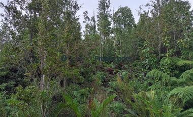Parcela en Venta en HERMOSAS PARCELAS EN UN ENTORNO MARAVILLOSO A SOLO 30 KMS. DE PUERTO VARAS