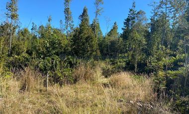 Parcela en Venta en HERMOSAS PARCELAS EN UN ENTORNO MARAVILLOSO A SOLO 30 KMS. DE PUERTO VARAS