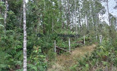 Parcela en Venta en HERMOSAS PARCELAS EN UN ENTORNO MARAVILLOSO A SOLO 30 KMS. DE PUERTO VARAS