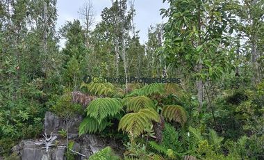 Parcela en Venta en HERMOSAS PARCELAS EN UN ENTORNO MARAVILLOSO A SOLO 30 KMS. DE PUERTO VARAS