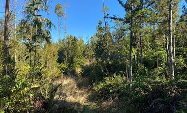 Parcela en Venta en HERMOSAS PARCELAS EN UN ENTORNO MARAVILLOSO A SOLO 30 KMS. DE PUERTO VARAS