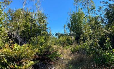 Parcela en Venta en HERMOSAS PARCELAS EN UN ENTORNO MARAVILLOSO A SOLO 30 KMS. DE PUERTO VARAS