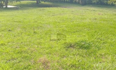 Terreno en venta Dos Montes Bajío