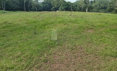Terreno en venta Dos Montes Bajío