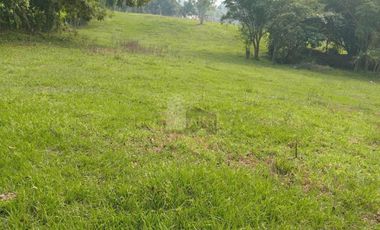 Terreno en venta Dos Montes Bajío