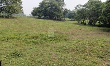 Terreno en venta Dos Montes Bajío