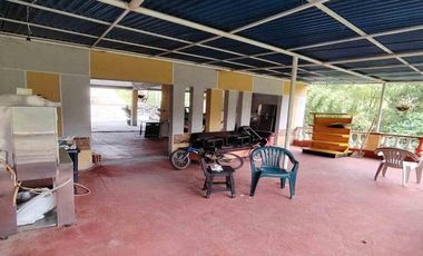 SE VENDE FINCA ALTAGRACIA PEREIRA