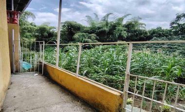 SE VENDE FINCA ALTAGRACIA PEREIRA