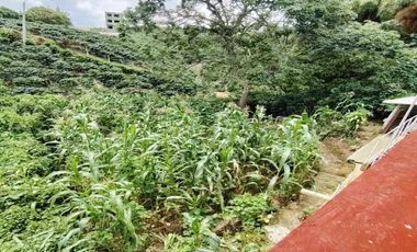 SE VENDE FINCA ALTAGRACIA PEREIRA