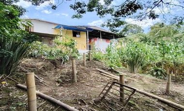 SE VENDE FINCA ALTAGRACIA PEREIRA