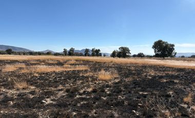 Terreno en venta de 43.06 has aprox carretera Nacional Amozoc-Teziutlán, Acajete