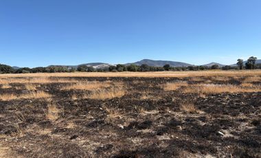 Terreno en venta de 43.06 has aprox carretera Nacional Amozoc-Teziutlán, Acajete