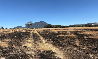 Terreno en venta de 43.06 has aprox carretera Nacional Amozoc-Teziutlán, Acajete