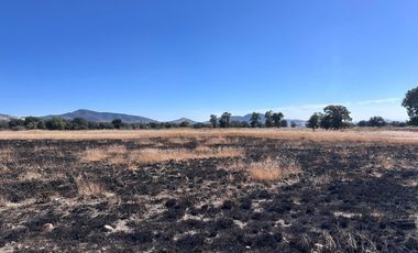 Terreno en venta de 43.06 has aprox carretera Nacional Amozoc-Teziutlán, Acajete