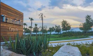 TERRENO EN VENTA EN TAMARIDOS