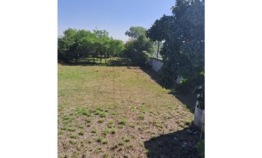Terreno en renta sobre Av. Eloy Cavazos