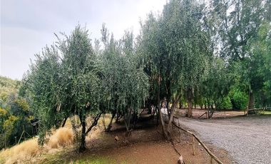 Parcela en Venta en Venta Amplia Casa 5 Dormitorios, 378 m2 útil, 25.600 m2 terreno, Hacienda Chacabuco, Colina