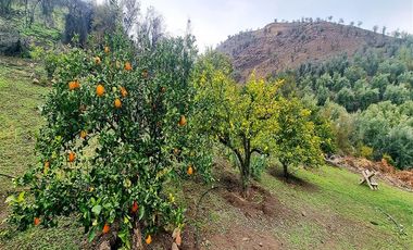 Parcela en Venta en Venta Amplia Casa 5 Dormitorios, 378 m2 útil, 25.600 m2 terreno, Hacienda Chacabuco, Colina