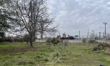 Terreno Construccion  en Venta en CALLE LOS SAUCES CON CALLE BENEDICTO LEON