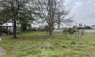 Terreno Construccion  en Venta en CALLE LOS SAUCES CON CALLE BENEDICTO LEON