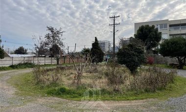 Terreno Construccion  en Venta en CALLE LOS SAUCES CON CALLE BENEDICTO LEON