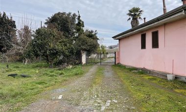 Terreno Construccion  en Venta en CALLE LOS SAUCES CON CALLE BENEDICTO LEON