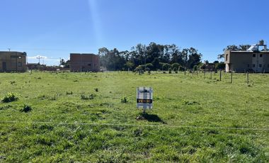 Terreno en  Venta en Mar del Sud
