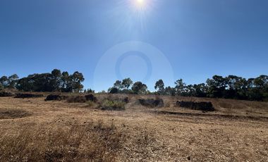 Finca en venta en San Antonio Arroyo Zarco