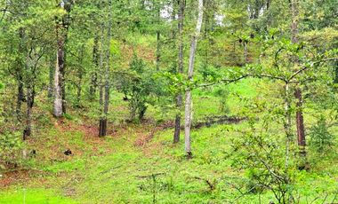 Terreno en preventa en Atemajac De Brizuela Valle de Los Reyes