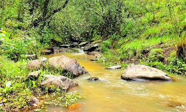 Terreno en preventa en Atemajac De Brizuela Valle de Los Reyes