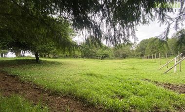 Parcela en Venta en Monteverde