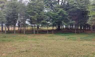 Parcela en Venta en Monteverde